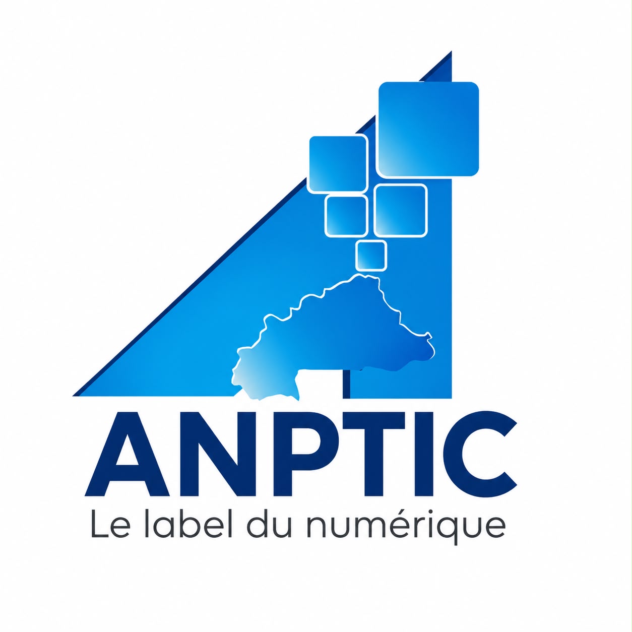 Logo ANPTIC